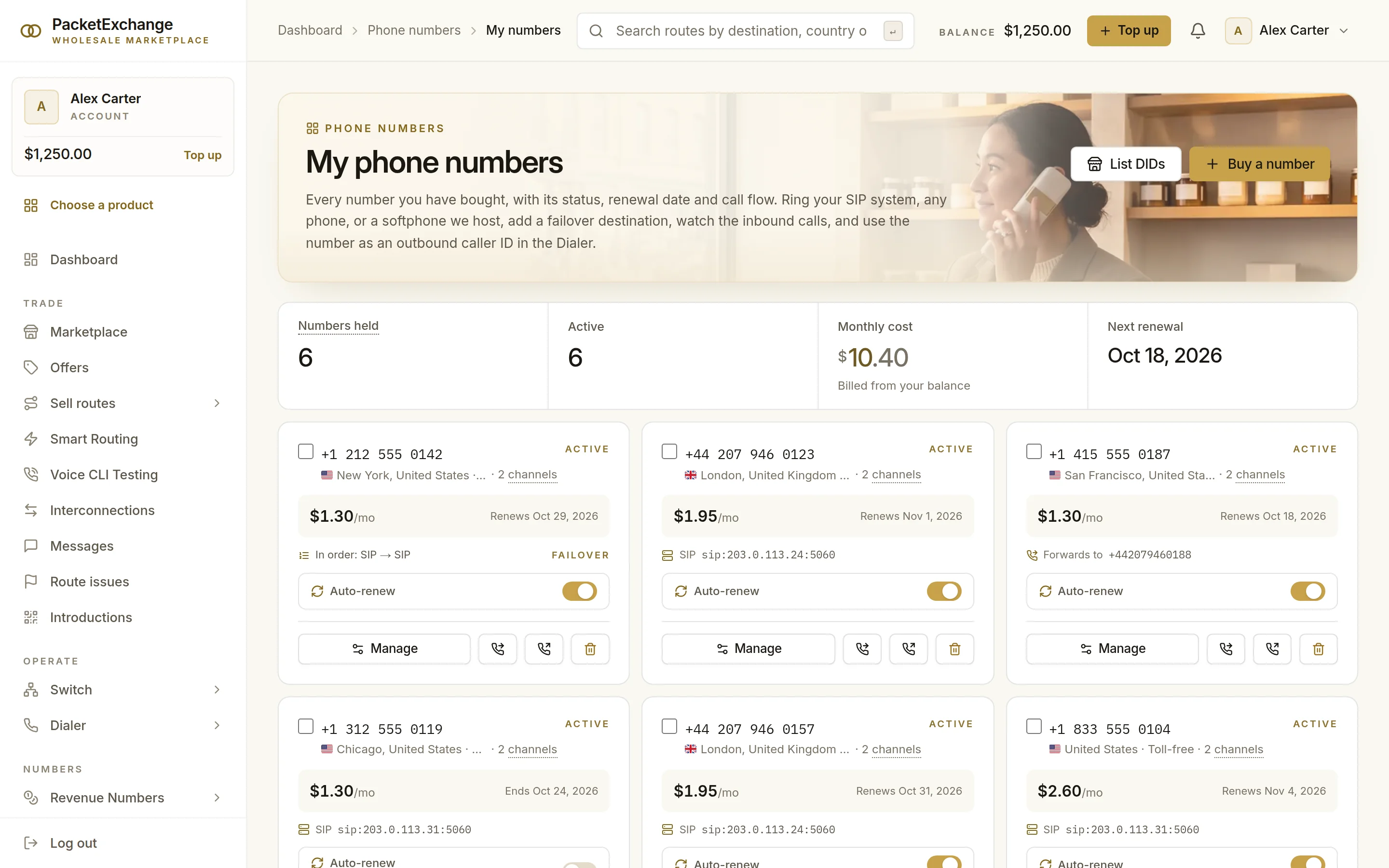 My phone numbers with six active numbers, the monthly cost, the next renewal, and cards showing where each number rings, its failover and auto-renew